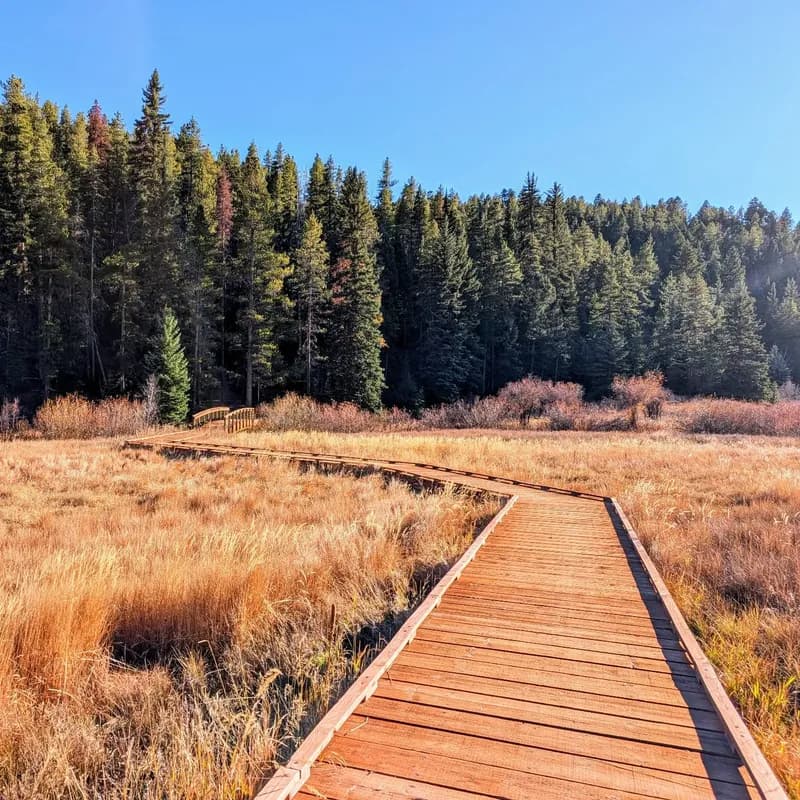 Photo from November 2024