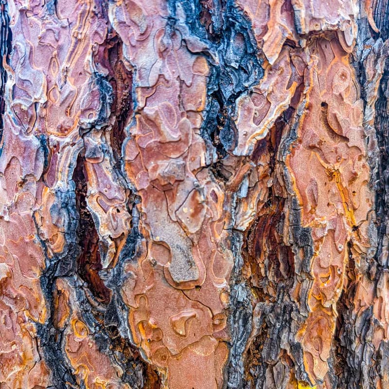 Photo from August 2025