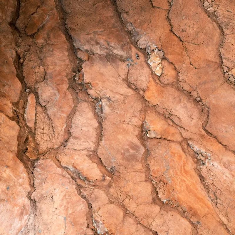 Photo from September 2023