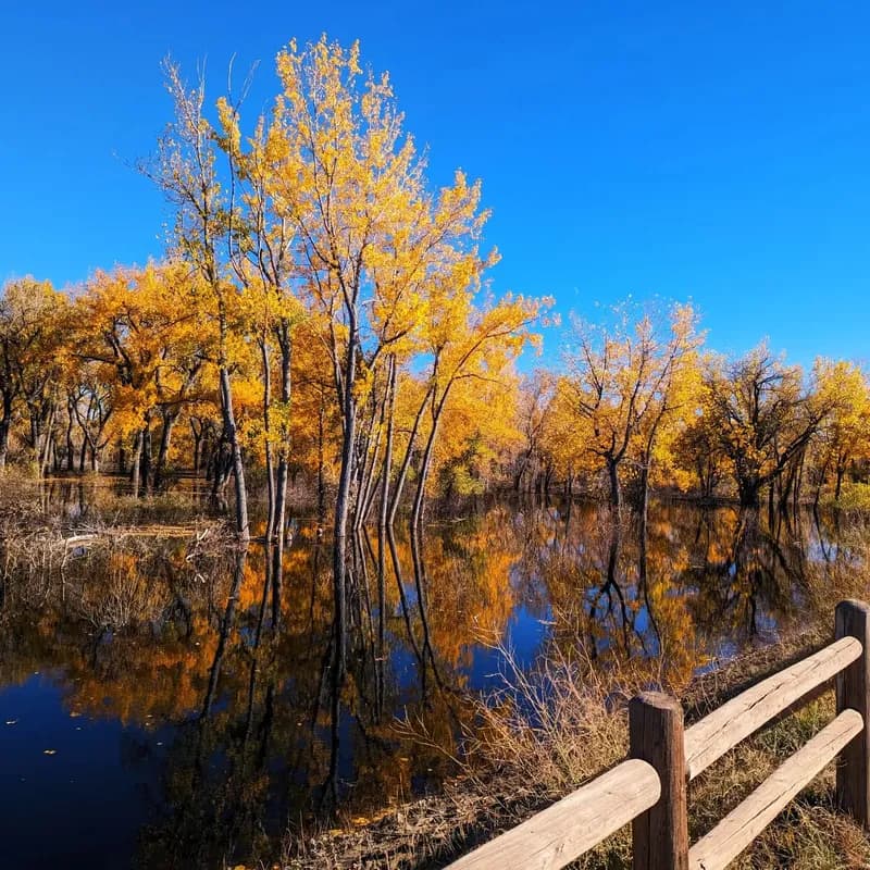 Photo from November 2023