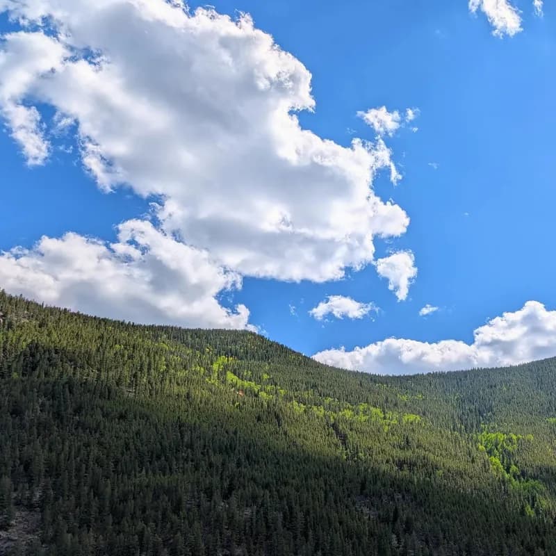 Photo from September 2024