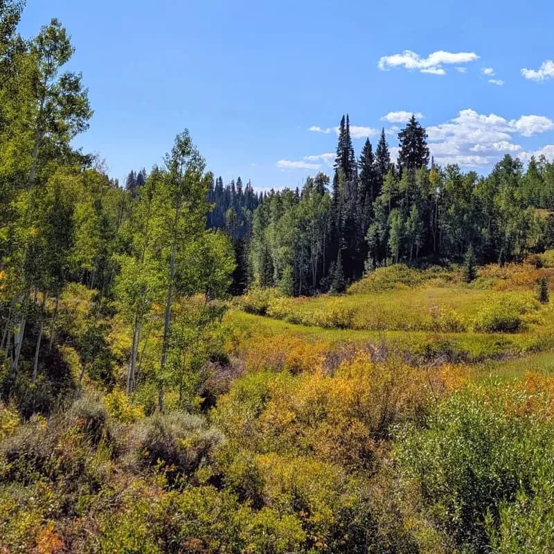 Photo from September 2024