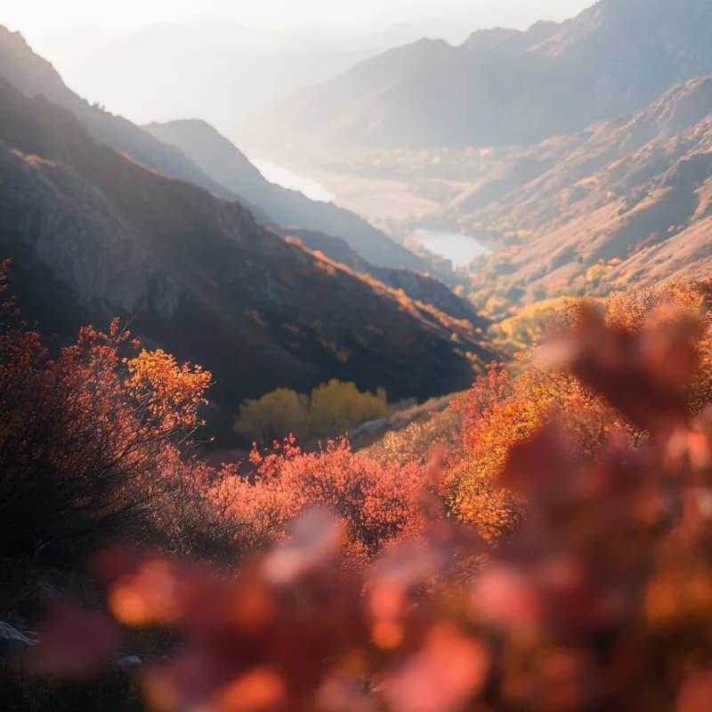 Photo from September 2024