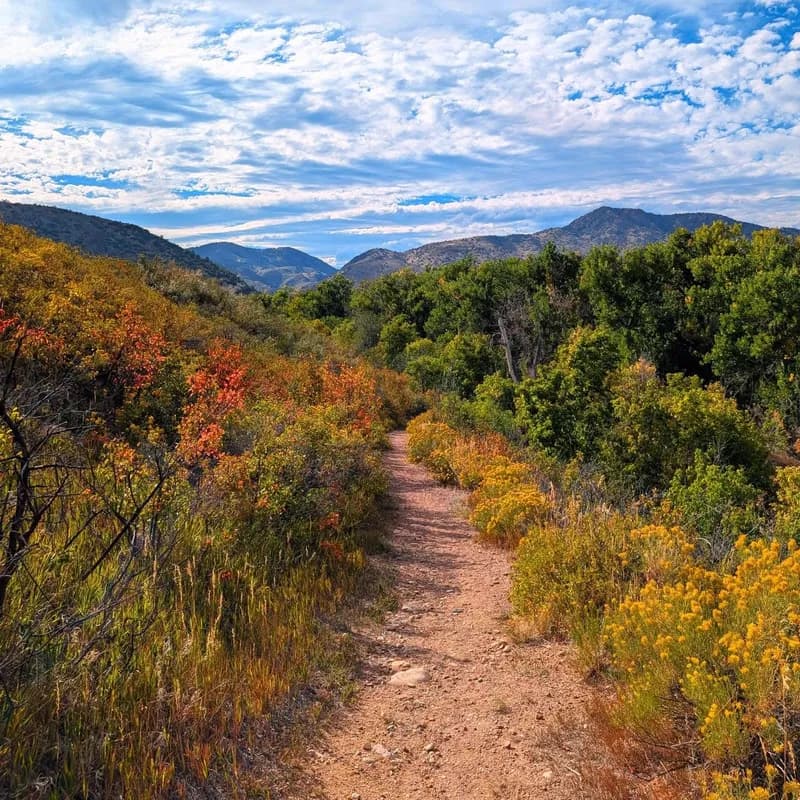 Photo from September 2024