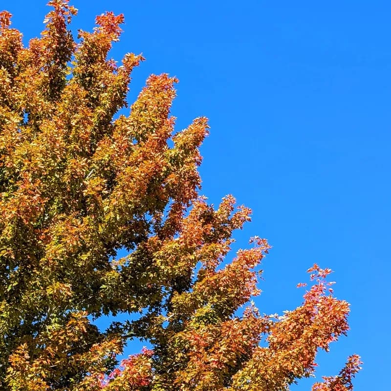 Photo from November 2024