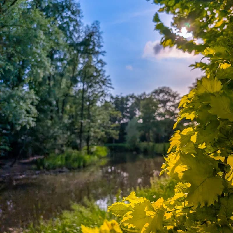 Photo from June 2025