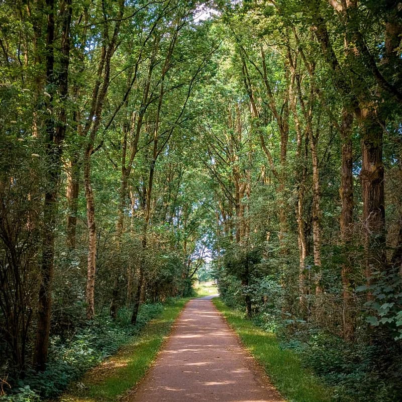 Photo from June 2025