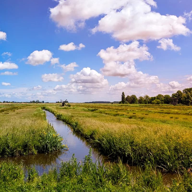 Photo from June 2025