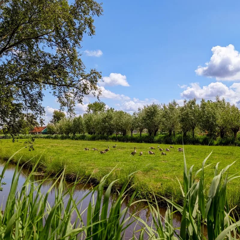 Photo from June 2025