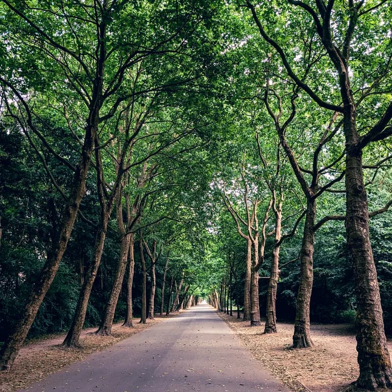 Photo from June 2025